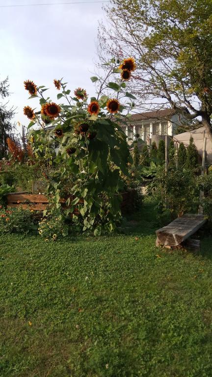 Rose-Marie'S Paradies Apartamento Aesch Exterior foto